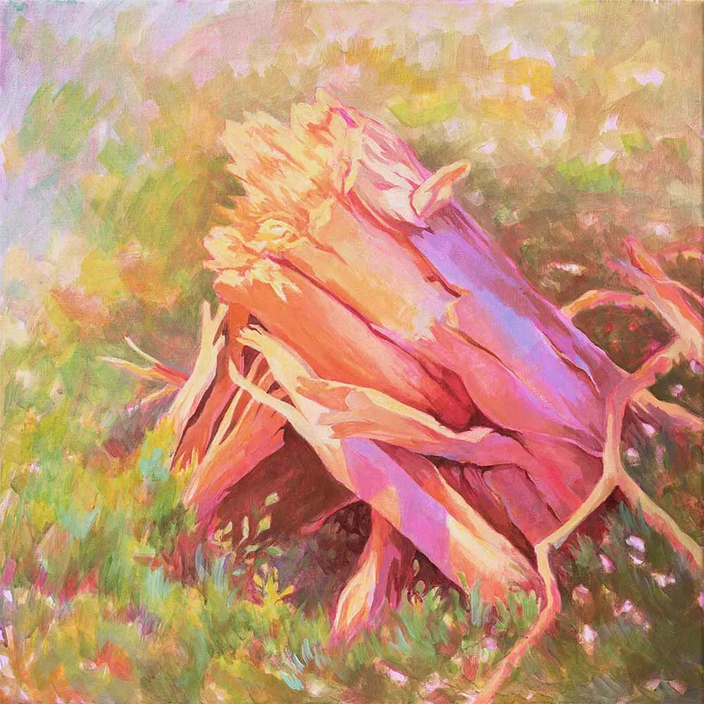 Tableau 50x50cm peint à l'acrylique sur châssis entoilé par Enolie. Une souche d'arbre arraché repose au centre de l'image. Un appel de l'artiste pour commémorer la nature souvent oubliée parmi les victimes du changement climatique et des catastrophes naturelles. 50x50cm acrylic painting on canvas by Enolie. A tree stump lies in the center of the image. A call from the artist to commemorate nature, often forgotten among the victims of climate change and natural disasters.