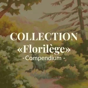 Collection Compendium